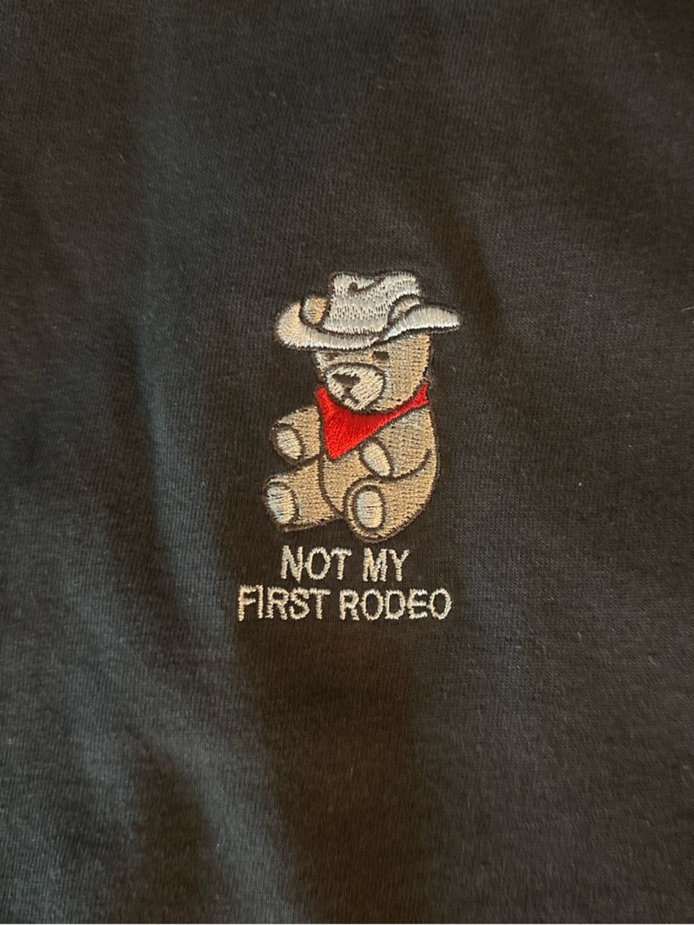 Riot Society Dark Brown Tee with Embroidered Cowboy Bear and Red Bandana
